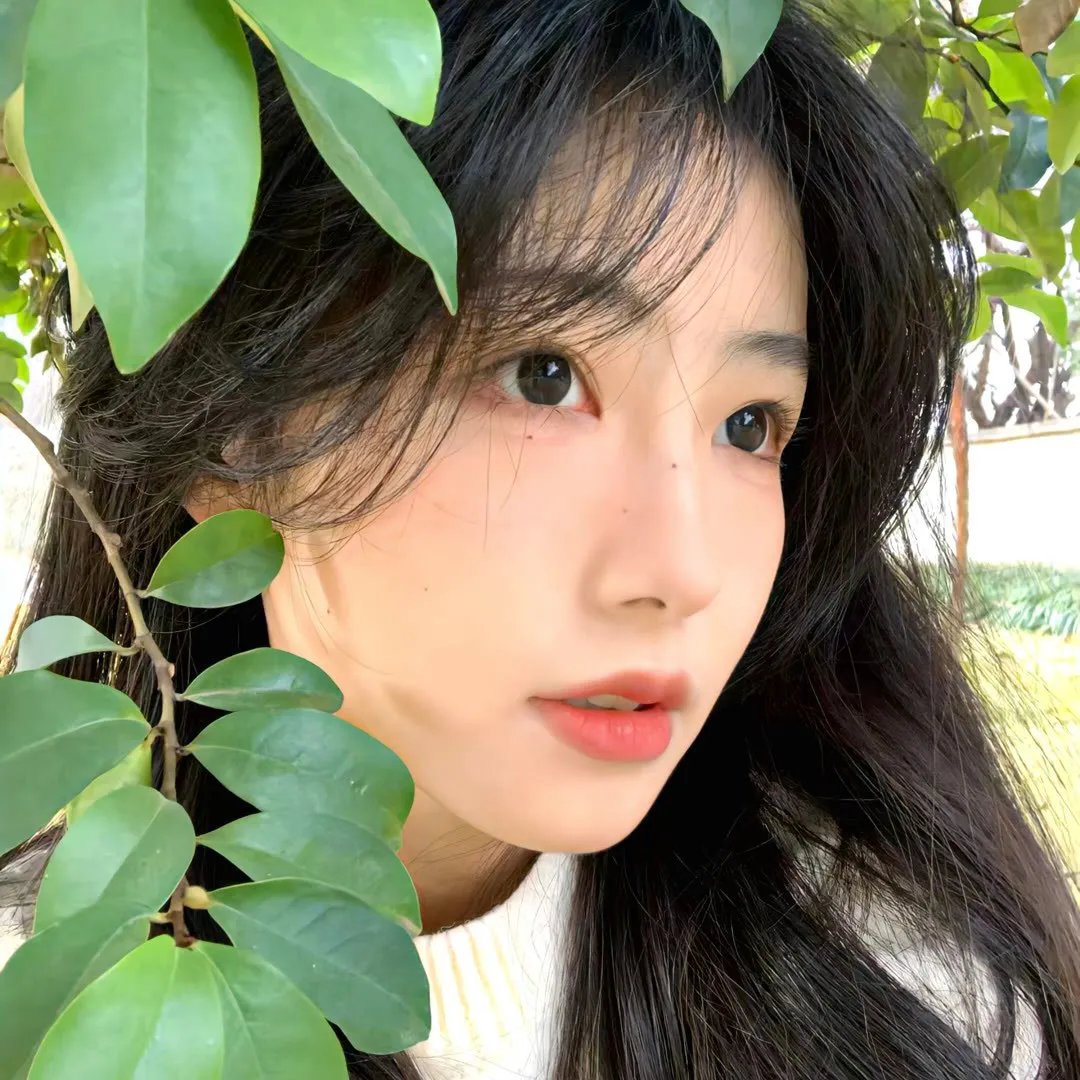 执法者们粤语